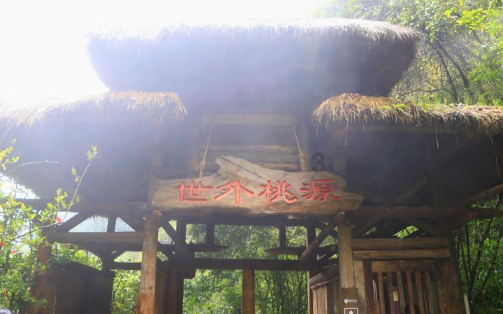 沃尔科特：如果霍奇森离队的话，格拉汉姆-波特是个不错的选择