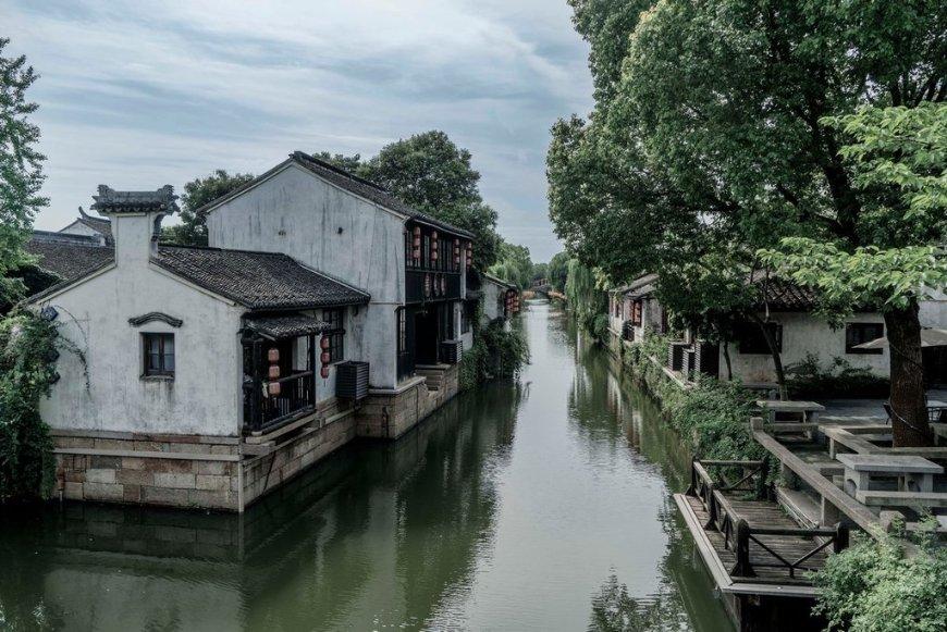 探索种子萌发的条件的对照实验,是什么?😳,畅享红迪网平台的精彩内容